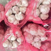 Ail frais de Chine de qualité supérieure, 4,5-6,0 cm, nouveau fournisseur, ail blanc frais, vente en gros d'ail, exportateur d'ail frais, prix le plus bas