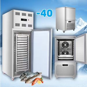 Congélateur-chiller industriel à <span class=keywords><strong>coffre</strong></span> pour micro-plateaux de 5, 10, 12, 3, 7, 15, 30 compartiments, pour usage domestique, pour poulet et volailles congelés, à vendre - Product Image 4