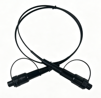Câble de branchement FTTH extérieur pré-terminé OEM |   Connecteur étanche HW |   Longueur personnalisée 1m-300m