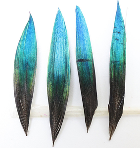 Divers types de plumes de paon naturelles pour la décoration de mariage, accessoires pour cheveux, décoration de fête, accessoires de pêche - Product Image 3