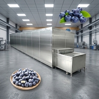 Mesin Pencuci dan Pengupas Blueberry, Mesin Pencuci dan Pengupas Blueberry Tipe Sikat, Mesin Pencuci Buah dan Sayuran