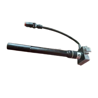 Bobine d'allumage de pièces de moteur d'équipement industriel de haute qualité 4390431 5634407 pour le gaz Cummins GQSK60