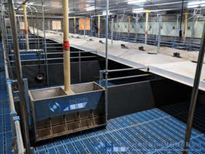 <span class=keywords><strong>Venta</strong></span> Directa <span class=keywords><strong>de</strong></span> Fábrica: Jaulas <span class=keywords><strong>de</strong></span> Destete y Cría <span class=keywords><strong>de</strong></span> Lechones <span class=keywords><strong>de</strong></span> Larga Duración para Granjas - Product Image 4