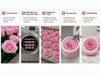 HFlora 1 pièce Mini Rose éternelle en soie pour la Saint-Valentin, cadeau de mariage pour invités, boîte cadeau décorative, fourniture d'usine