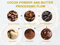 Usine complète de transformation des fèves de cacao, machine d'extraction de la liqueur de chocolat, machine de filtration, ligne de production de beurre de cacao et de poudre