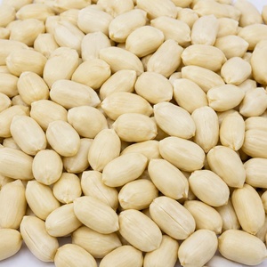 Arachides blanchies sans peau de haute qualité, noyaux d'arachides frais et naturels pour la transformation alimentaire, fournisseur en gros pour l'exportation - Product Image 2