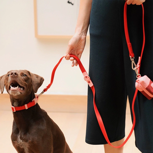 Sıcak satış canlı PVC köpek tasmaları ayarlanabilir Vegan deri tutuşunu toka küçük orta büyük köpekler için dayanıklı su geçirmez - Product Image 4