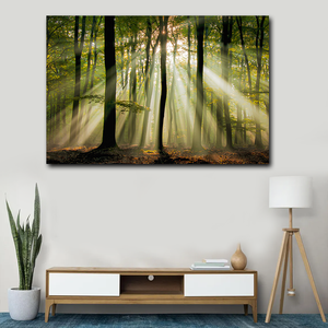 Lienzo Impreso en Oferta, Bosque Tranquilo con Hojas Iluminadas por el Sol, Hermoso Bosque, Fondo Natural, Escena Dinámica del Bosque - Product Image 4