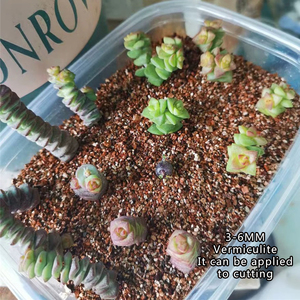 Hoogwaardige biologische tuinvermiculiet bodemverbeteraar 1-3mm geëxpandeerde vermiculietkorrels bloemvoedingsmiddel voor de bodem uit Hebei - Product Image 4