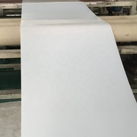 Bande transporteuse flexible en PP pour fumier de volaille – Évacuation ininterrompue des déchets – Systèmes de cages à cailles domestiques – Montage léger