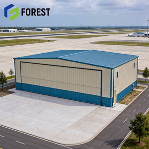 Hangar de Aviones de Estructura de Acero de Gran Envergadura, Diseño Moderno, Larga Vida Útil para la Aviación, con Servicio de Diseño - Product Image 1