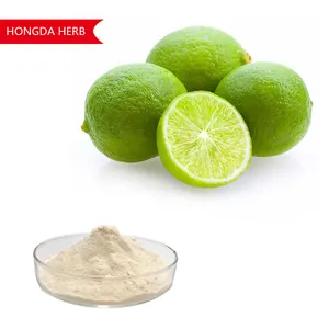 Factory Supply High Quality Lemon Fruit Powder Lemon Juice Powder Lemon Powder