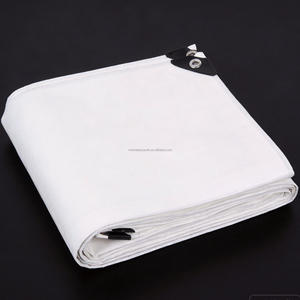 Bâche en PE enduite imperméable 180G, auvent de jardin blanc résistant à la pluie, <span class=keywords><strong>voile</strong></span> <span class=keywords><strong>d</strong></span>'<span class=keywords><strong>ombrage</strong></span> extérieur, anti-statique, anti-UV, tissée, pour voiture, animaux domestiques, chien, maison - Product Image 2