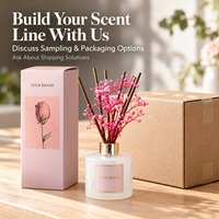 Diffuseur de parfum d'ambiance écologique de luxe OEM sans alcool, en verre dépoli rose avec plantes séchées et bouchon métallique doré
