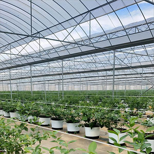 Skyplant กรอบเรือนกระจกที่ใช้ในเชิงพาณิชย์ทำจากฟิล์มหลายช่วงโครงสร้างเรือนกระจกสำหรับบ้านสีเขียวแบบครบวงจร - Product Image 5