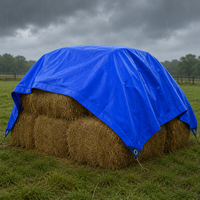 Bâche en rouleau YRH Factory, robuste, imperméable, en PE, pour camions, bateaux, camping, jardin, mobilier de terrasse, vente en gros