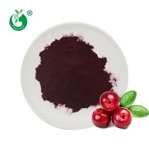 Wholesale Bulk Natural Pure Cranberry Fruit Extract 25% Anthocyanin Powder