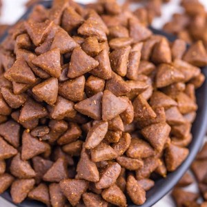 Ligne d'extrusion de croquettes pour chiens et chats à haut rendement, équipement dédié pour usine d'aliments pour animaux - Product Image 4