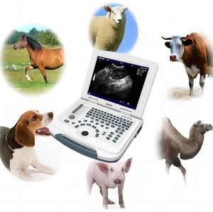 Vericare Veterinary MU10 máquina de diagnóstico portátil B/N máquina de ultrasonido portátil para el embarazo - Product Image 6