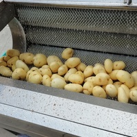 Ustensile d'éplucheuse de pommes de terre, légumes, gingembre, carottes, collection