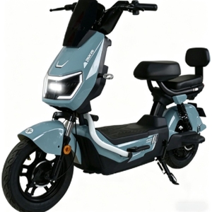 Scooter Eléctrico de Alto Rendimiento 2025, 800W, 48V 60V, Batería de Plomo-Ácido de 20Ah, Estilo Retro Urbano, con Cargador de 110V, Diseño Moderno - Product Image 2