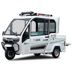 <span class=keywords><strong>Triciclo</strong></span> Eléctrico >800W Totalmente Cerrado para Carga y Pasajeros, Movilidad para Personas Mayores, Estándar Nacional - Product Image 1