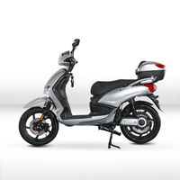 Moto électrique de course FST 800W, batterie au plomb-acide 48V 20AH, certificat EEC COC CE, vitesse maximale 40 km/h