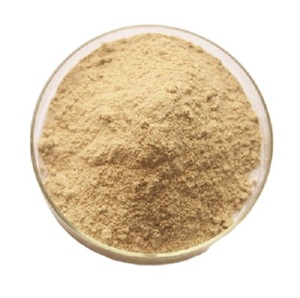 Ekstrak Ragi Anggur Bir Bahan Makanan Saccharomyces Cerevisiae Bubuk Ekstrak Ragi CAS 8013-01-2 - Product Image 2