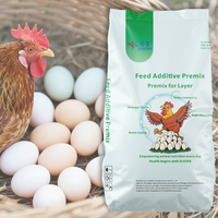Additifs Alimentaires de Haute Qualité à Bas Prix pour Poules Pondeuses – Prémélange pour Augmenter la Production d'Œufs – Produits Prémélangés pour Poules Pondeuses