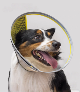 Anti-Bite Lick Healing <span class=keywords><strong>Safety</strong></span> Práctico Plástico E-Collar Ajustable Perro Gato Cono Collar Venta al por mayor Collares protectores para mascotas - Product Image 1