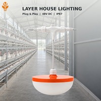 Perlengkapan Pencahayaan LED Unggas 48V DC Desain Plug and Play Pemasangan Mudah Lampu Peternakan Ayam Peternakan Broiler Peternakan Layer Rumah Unggas