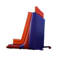 Mur d'escalade gonflable extérieur personnalisable pour adultes et enfants avec souffleur-Jeu de sport amusant sur trampoline gonflable