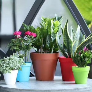 Maceta Moderna de Resina Plástica Transpirable Wei Cheng Xing, Diseño Simple, para Balcón, Interior, Plantas Verdes y Suculentas - Product Image 1