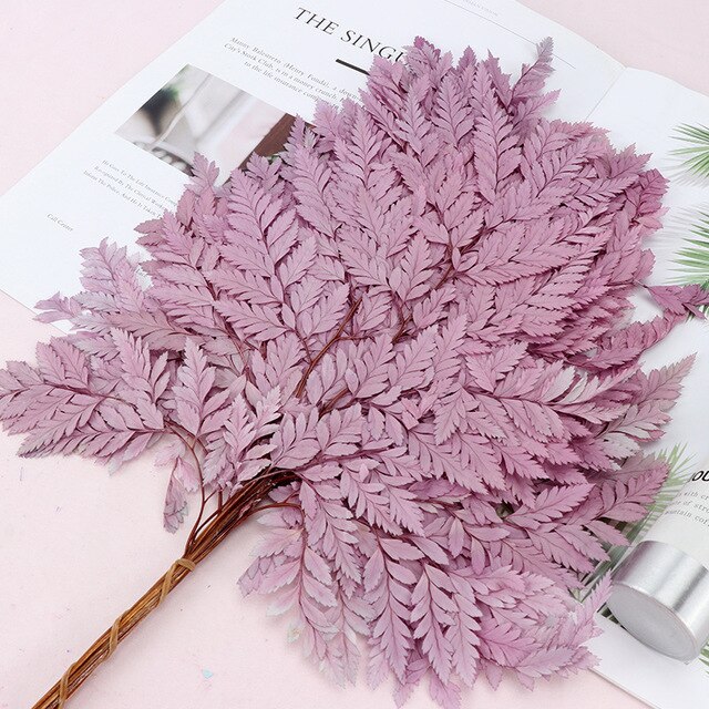 05 Taro lila