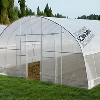 Serre tunnel gothique grande taille à succès, avec film plastique PE anti-âge, montage facile pour légumes de jardin