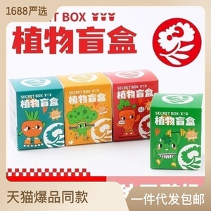 Boîte secrète de plantes en pot miniature pour enfants, kit de culture intérieur, cadeau de verdure pour le bureau - Product Image 5