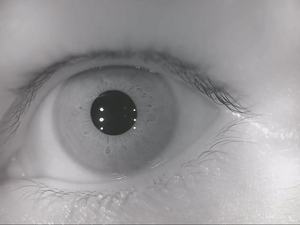 Módulo USB Dinámico Amplio Personalizado AR0130 CMOS Blanco y Negro de Banda Estrecha 850 Infrarrojo Reconocimiento Facial de <span class=keywords><strong>Iris</strong></span> Cámara de Alto Rendimiento - Product Image 3