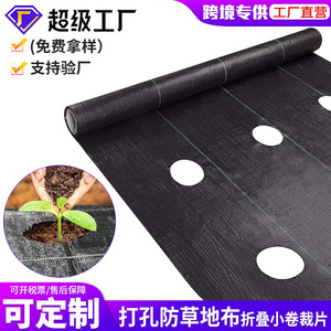 Perforated Grass Proof Fabric Black Polka Dot 1x1 For Agricultural Seedling Cultivation - Product Image 5