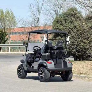 Mini voiturette de golf électrique classique de luxe, économique, 2 places, pour mariage, hôtel, usage hors route public - Product Image 2