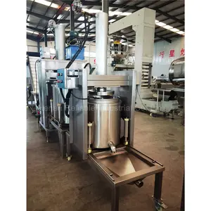 Máquina hidráulica para prensar Zumo de zanahoria, prensadora comercial de piña y manzana, 30T