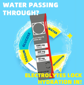 20 Sachet Bubuk Elektrolit, 4 Rasa Campuran Minuman Elektrolit dengan Lemon, Jeruk Manis, Raspberry, Persik - Product Image 2