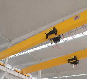 Cầu trục dầm đơn Châu Âu kích thước tùy chỉnh và màu sắc bên ngoài của nhà sản xuất sản phẩm bán nóng - Product Image 1