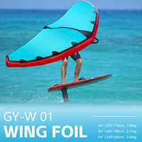 Usine en gros personnalisable bleu rouge aile gonflable feuille planches de surf poignée dure équipement de kitesurf