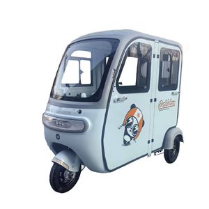 Triciclo Eléctrico Cerrado para Adultos, 800W 60V, de Recreo, con 4 Puertas - Product Image 2