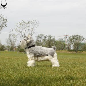 Schnauzer <span class=keywords><strong>miniature</strong></span> de chien mignon de taille réelle pour le cadeau et les accessoires de voiture décor à la maison décoratif intérieur - Product Image 3