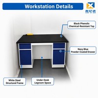 Banc de travail en acier pour laboratoire avec armoires de rangement pour produits chimiques, idéal pour hôpitaux, écoles et entrepôts