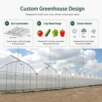 Serre Agricole Commerciale Gothique Clé en Main, Ensemble Complet Multi-Span pour la Culture de Tomates et de Légumes