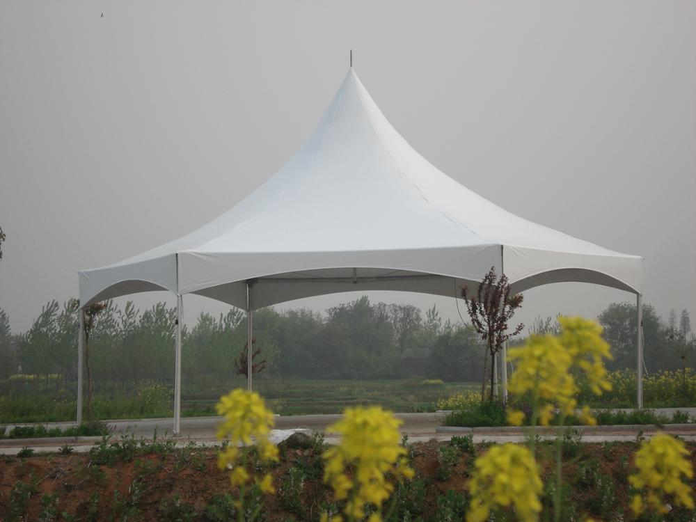 30*25 Promotion Événement PVC Tente Chapiteau Tente Auvent Extérieur