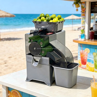 Presse-agrumes automatique commercial pour oranges, citrons et limes – Machine à jus pressé à froid pour restaurants et bars à jus