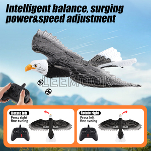 2.4GHz 2CH điều khiển từ xa <span class=keywords><strong>b</strong></span>ọt máy bay đồ chơi mô phỏng Sải Cánh Đại <span class=keywords><strong>B</strong></span>àng RC tàu lượn máy bay đồ chơi - Product Image 3